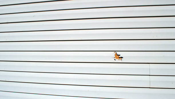 Best Brick Veneer Siding  in Haworth, NJ
